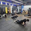 복싱팩토리 | 스트레스 훅훅! 복싱팩토리 꿀잼 후기