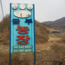 오영순농장 네이버블로그