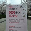 루이펫독 | [소노펫 후기] 루이와 함께한 봄눈 여행기 – 운동회, 말 구경, 그리고 특식까지!