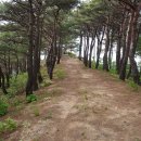 38선 숨길 디모테오길 이미지