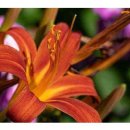 박하치과의원 이미지