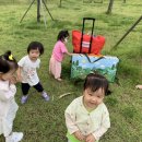 새빛어린이공원 이미지