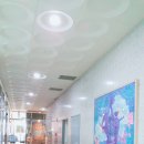 스타1 의원 이미지