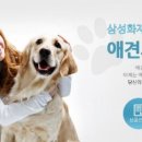 삼성애견 이미지