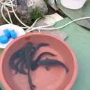 단강낚시터 이미지