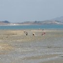 주포주유소 이미지