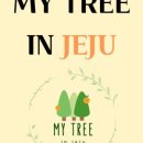 귤과나무 협동조합 이미지