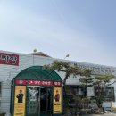 즐거운짜장 | 동탄짜장맛집 점심에만 영업하는 '코리안손짜장' 방문 후기