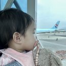 제주 조이황토리조트 | 12개월 아기랑 제주여행 1일차 :: 아시아나항공/마미포유/이재모피자/해비치리조트