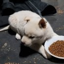 용소골농장 이미지