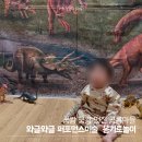 와글와글 영어 그림책 놀이 | 아기 첫 미술놀이🎨 이마트 월계점 와글와글 퍼포먼스⑤(10-17개월 리얼 후기) 옹기토놀이