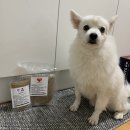 캐니스팜 이미지