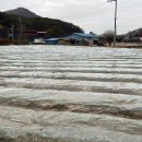 이천시농업기술센터 이미지