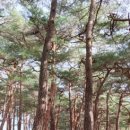 뻥튀긴 방앗간 이미지