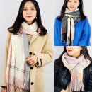 데이지컴퍼니 이미지