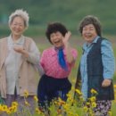 갯마을차차차 이미지