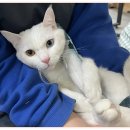 아이조아요양보호소 안양점 이미지