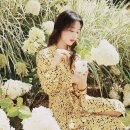 그라치아 이미지