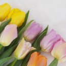 팜팜농장 이미지