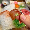 양산역 | 양산 회식, 모임 장소 추천 양산역 맛집 독도 꽃새우 후기