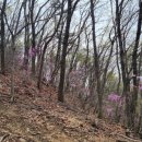 (주)창진산장휴게소 이미지