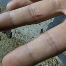 임항선그린웨이(북마산역) | 🚶‍♂️🚶‍♀️마산 임항선그린웨이 산책