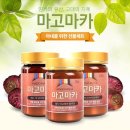 마고 - 중구 대청로 60 | 마고