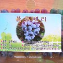 송천농산물