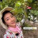 박한별 카카오 검색결과