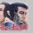 별들의고향 Daum카페