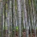 명품의료기 이미지