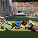 축구클럽(여성부) | 포항유소년축구 잘가르치는곳 포항유소년축구클럽 집중반 후기