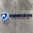 대성동물병원 | 동물병원 유목민이 다녀온 김해 르엘동물의료센터 솔직후기
