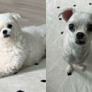 개스트살롱 이미지