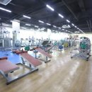 웰빙스포렉스 이미지