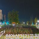 마리삼거리 | 천안 야경이 예쁜 음악분수 천안삼거리공원 아이와 가볼만한곳