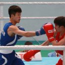 돌펀치복싱체육관 이미지