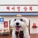 헤이! 멍 이미지