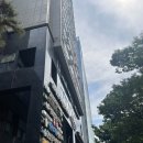 양재신세계약국 | 비염수술을 했다.