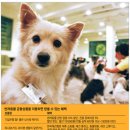참사랑할인마트 이미지