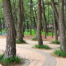 송림임업 - 제천시 | 송림임업