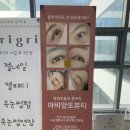 아비앙또 | [마곡 속눈썹펌] 속눈썹 유목민들의 정착지 아비앙또뷰티마곡본점 프리미엄펌 후기(+틴팅추가)