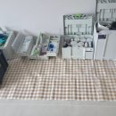 골드빌고급세탁 | 세종 동일하일빌1단지 줄눈시공 실제 후기｜줄눈업체 선택 기준 알려드립니다