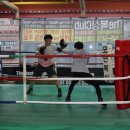 인복싱클럽 이미지