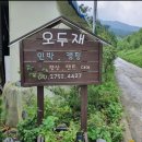 울엄마민박 | 경기 근교 계곡 추천 제천 덕동계곡: 오두재 민박 평상대여 후기