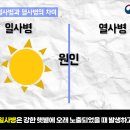 온열질환 사고 관련 (필독) 이미지