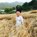 우리밀밭 - 동두천시 삼육사로 1003 | 우리밀밭