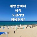 노블리안 | 쿼카쌤의 쏠비치 삼척 노블리안 완벽 체험담