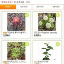 예일조경 이미지