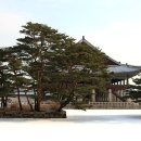 흥청 이미지